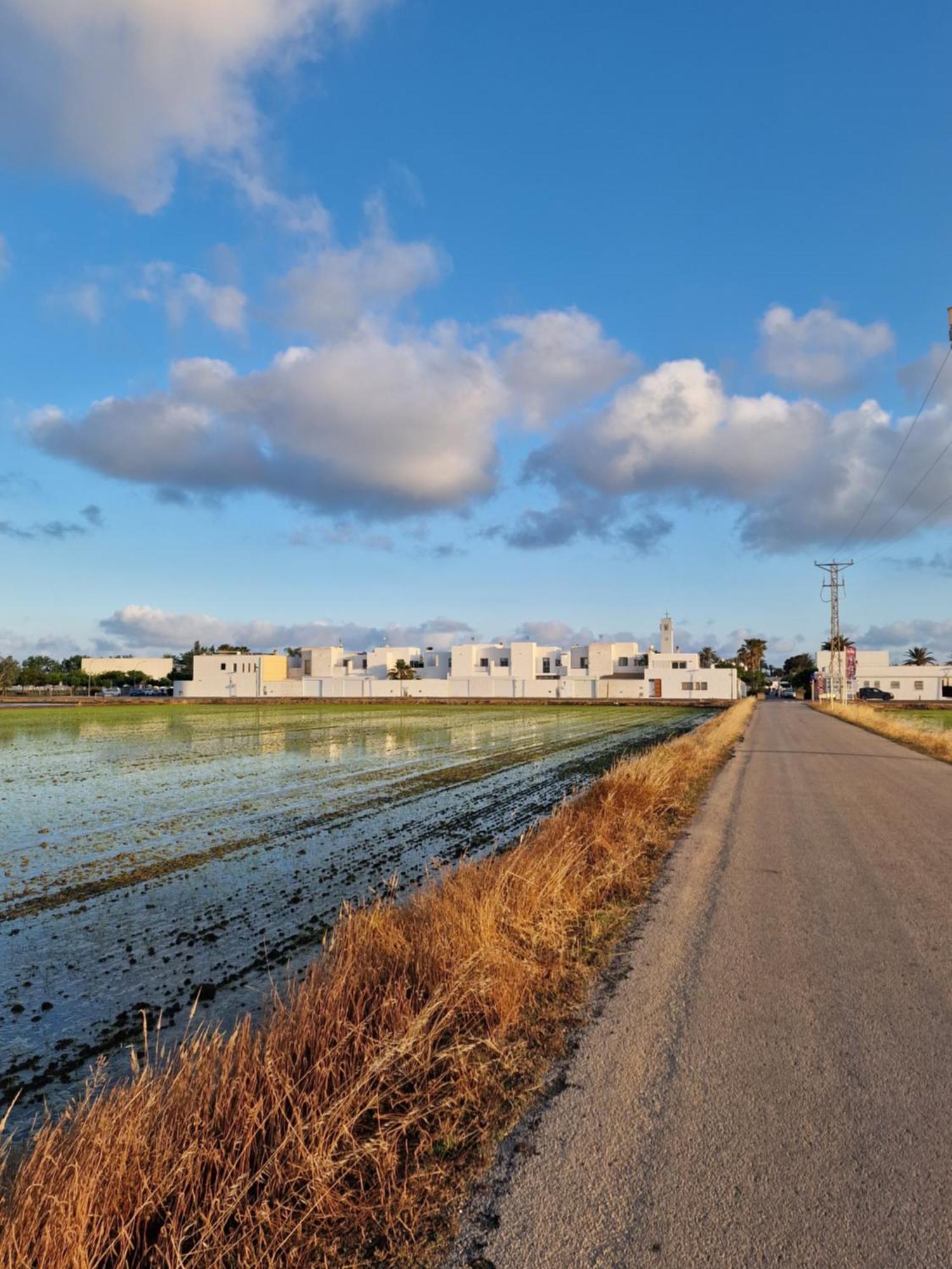 Villa La Casita del Poble Nou del Delta Esterno foto